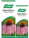 Echinacea